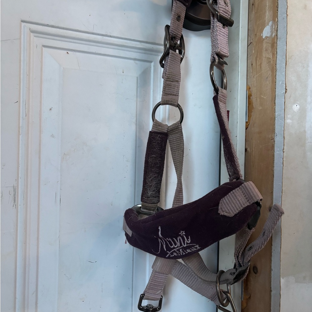 Lemieux Mini Fig Halter